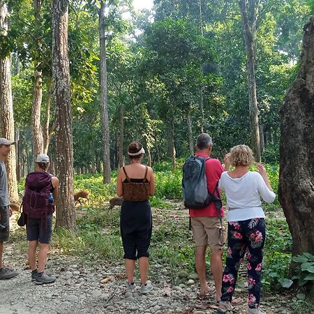 Chital Lodge Читван Экстерьер фото