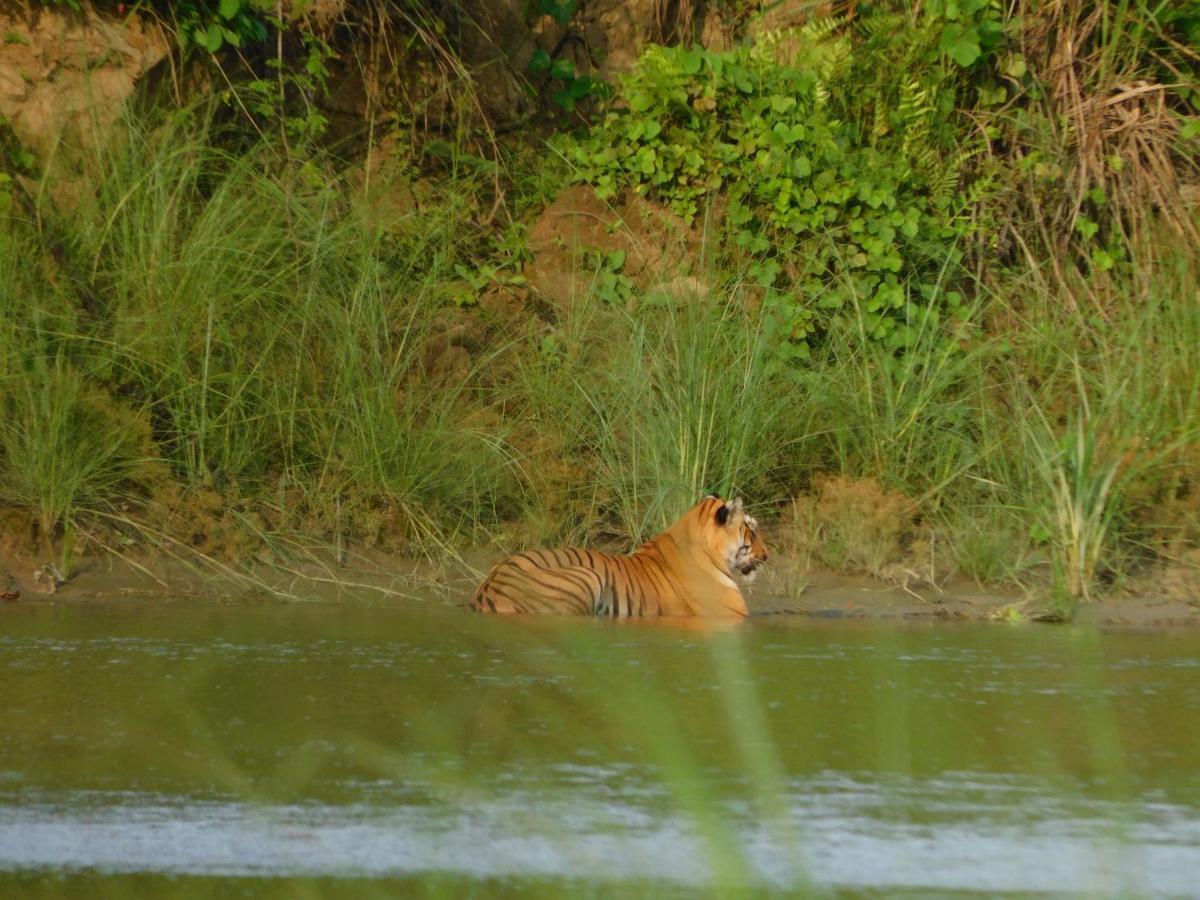 Chital Lodge Читван Экстерьер фото