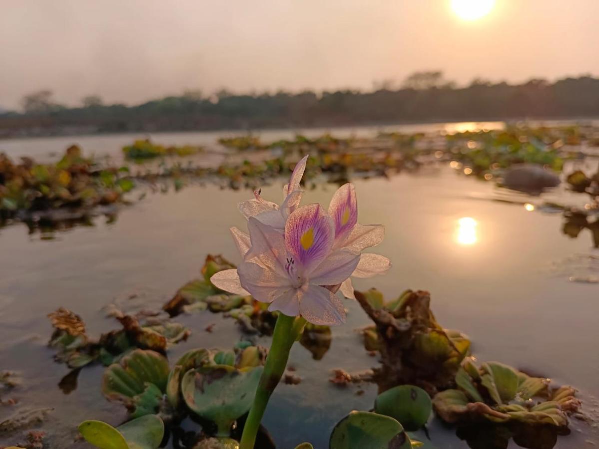 Chital Lodge Читван Экстерьер фото
