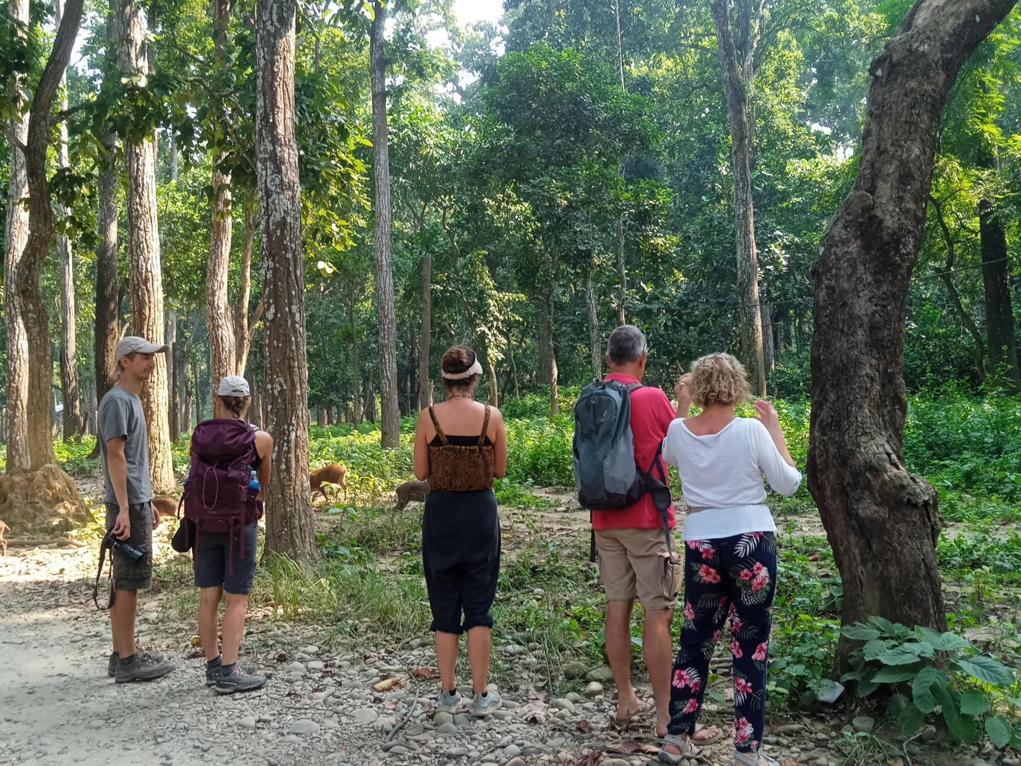 Chital Lodge Читван Экстерьер фото