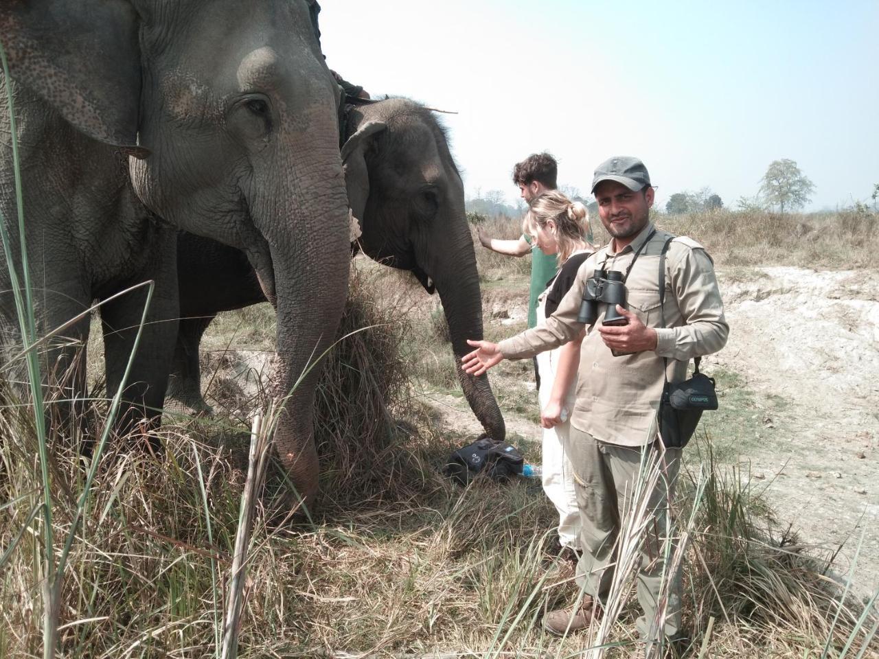 Chital Lodge Читван Экстерьер фото