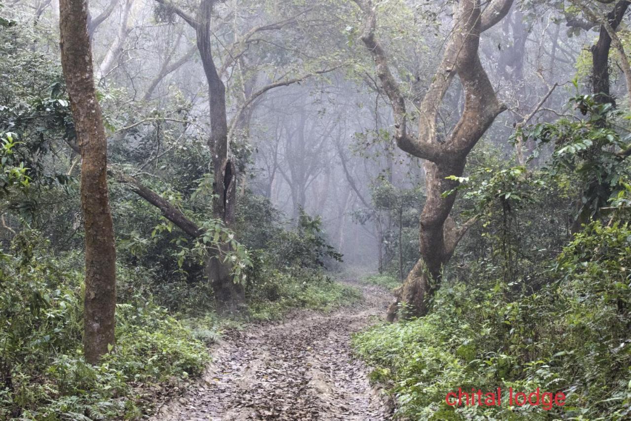 Chital Lodge Читван Экстерьер фото