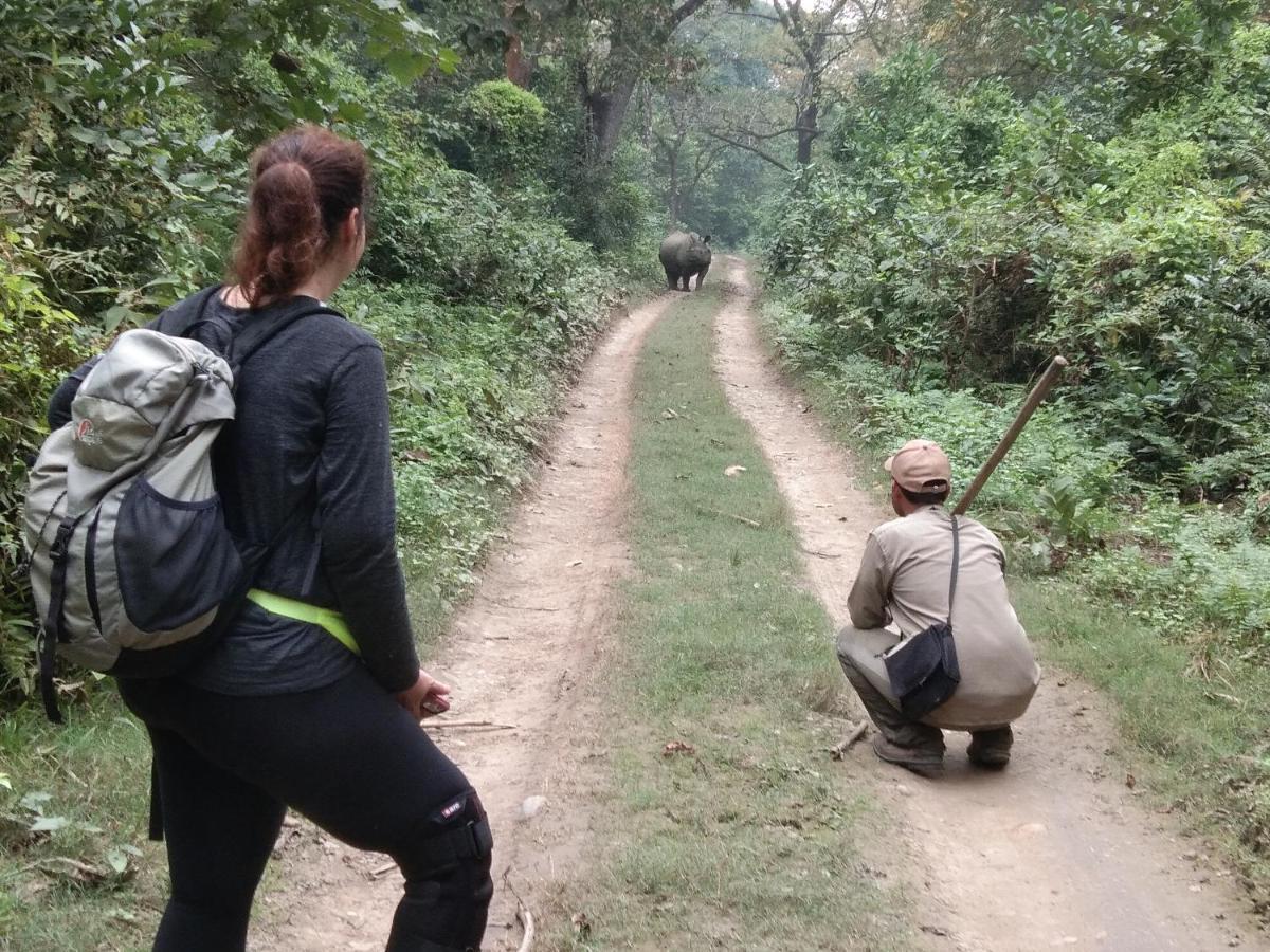 Chital Lodge Читван Экстерьер фото