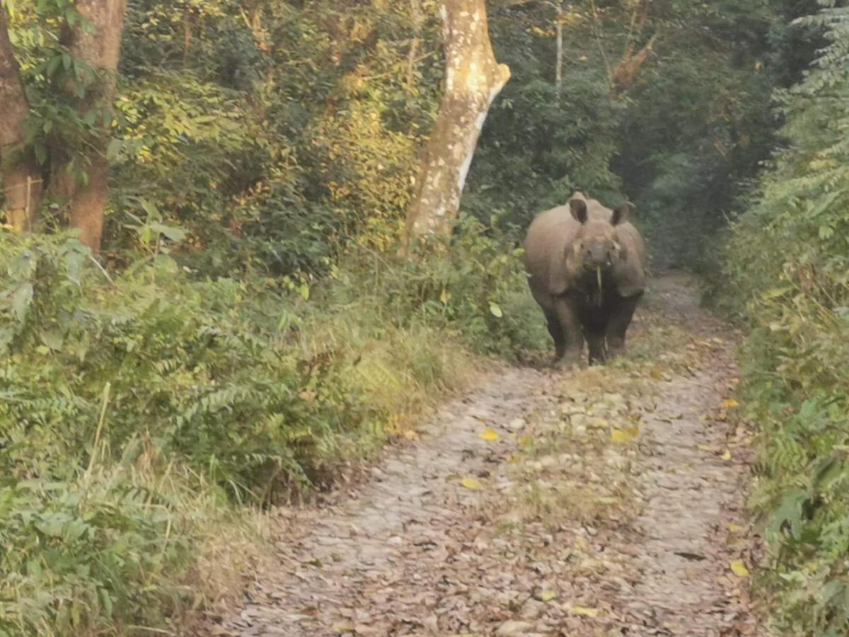Chital Lodge Читван Экстерьер фото