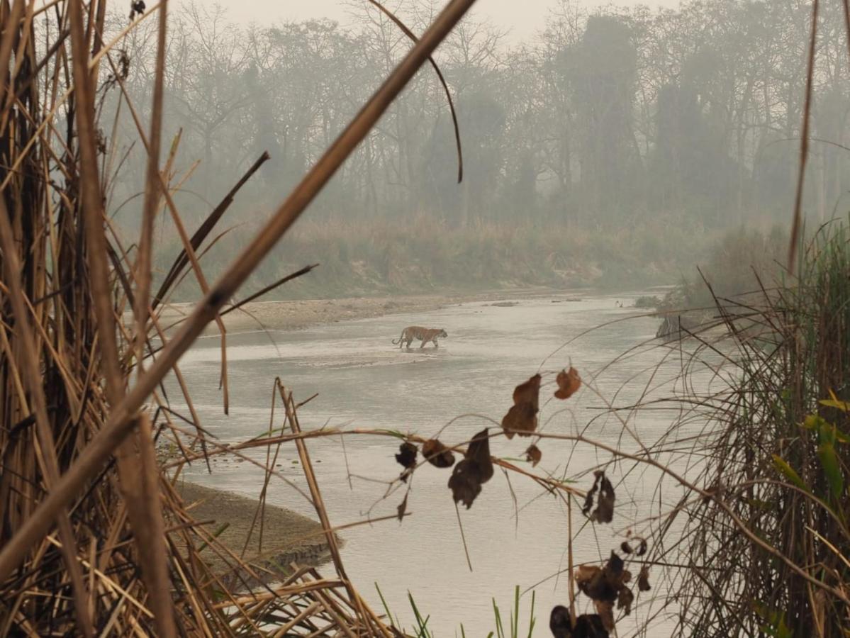 Chital Lodge Читван Экстерьер фото